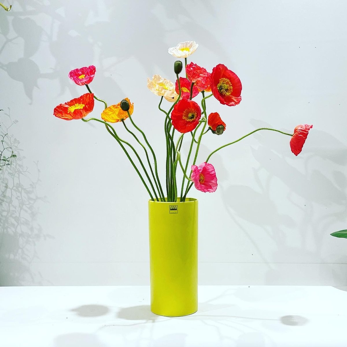 ceramic cylinder flower vase / 3color | TOO GARDEN