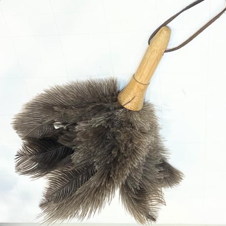 本日までセール❗️超絶希少❗️アロカシアマクロリザオーレア新葉展開中✨️ アロカシア | STORES