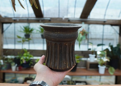保田修作  pot No.67