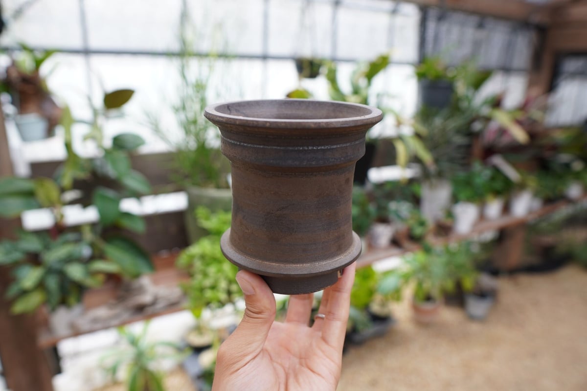 保田修作 pot No.1 | mana's farm:塊根植物・アガベ・ドライガーデン