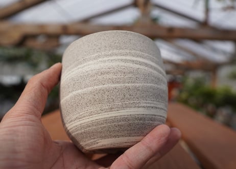 關まどか pot NO.22-5　F