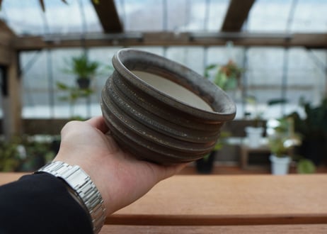 保田修作  pot No.26