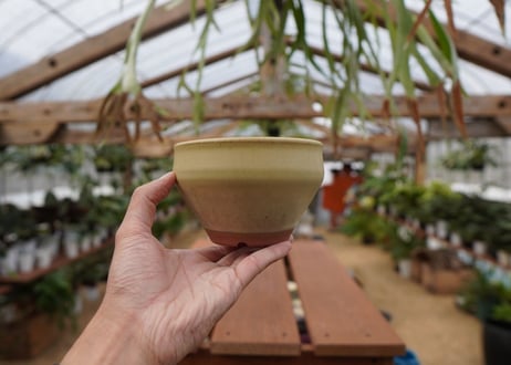 關まどか pot NO.26-2　Ｇ