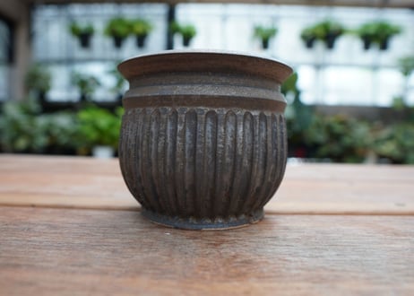 保田修作  pot No.21