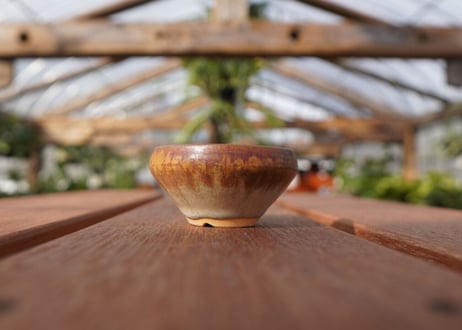 關まどか pot NO.20-1　Ｇ