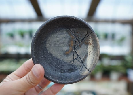 hechicami pot NO.2