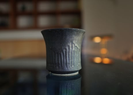 CATEGORY Calvero | mana's farm:塊根植物・アガベ・ドライガーデン