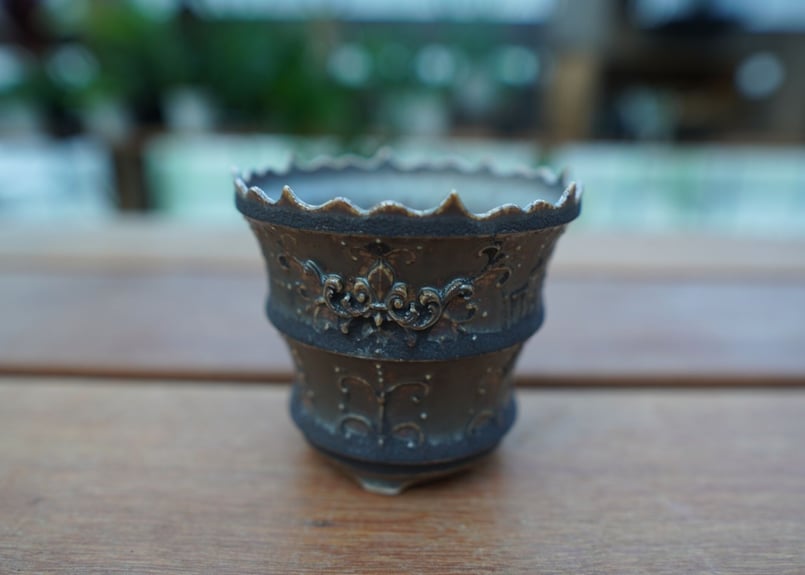Muddy Punk pot No.13 | mana's farm:塊根植物・アガベ・ドライ