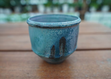 神田知広pot No.11