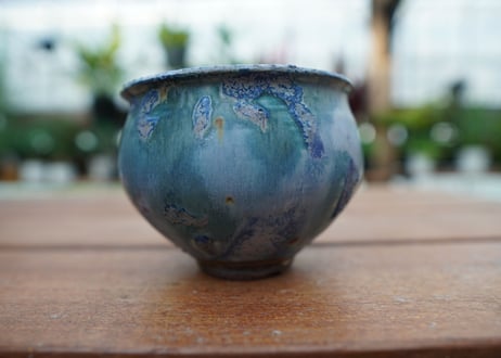 神田知広pot No.12