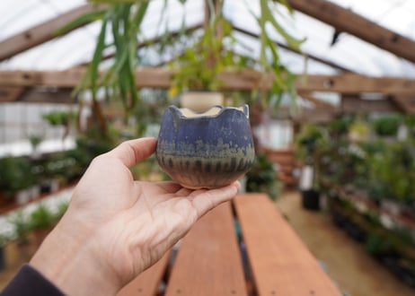 關まどか pot NO.3-3　Ｇ