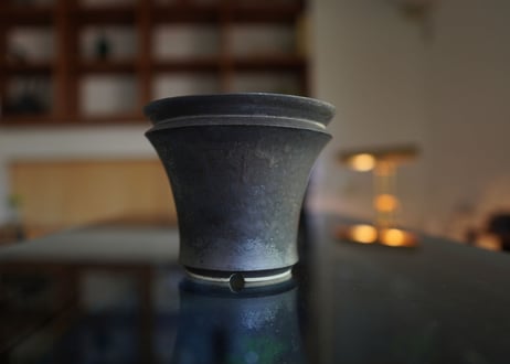 CATEGORY Calvero | mana's farm:塊根植物・アガベ・ドライガーデン