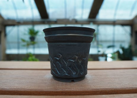 保田修作  pot No.59
