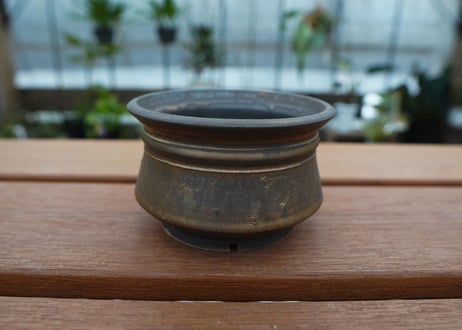 保田修作  pot No.31