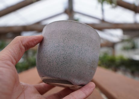 關まどか pot NO.30-5 F
