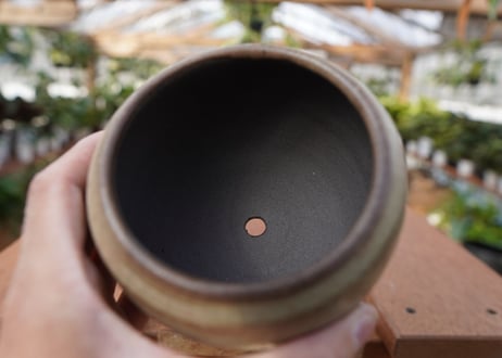 關まどか pot NO.17-1