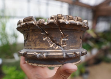 保田修作  pot No.15