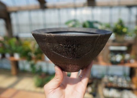 沼野秀章 pot No.2
