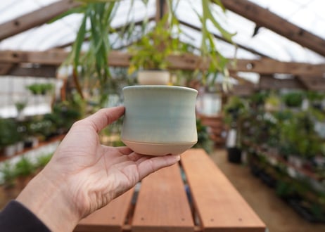 關まどか pot NO.5-6　Ｇ