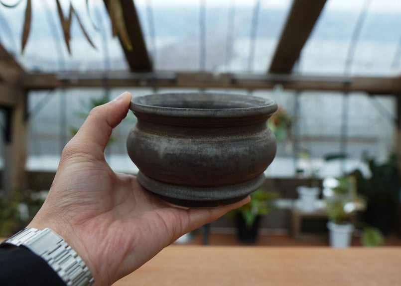 保田修作 pot No.19 | mana's farm:塊根植物・アガベ・ドライガーデン植