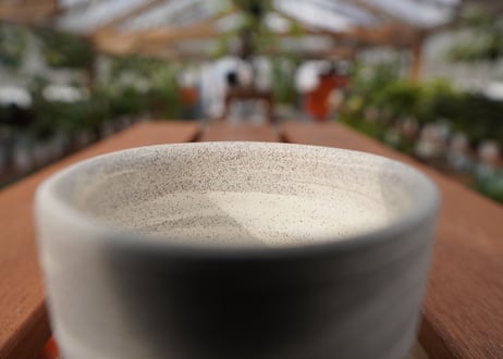 關まどか pot NO.22-7　Ｇ