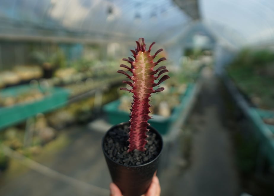 64a14d64191a4b003d30728f