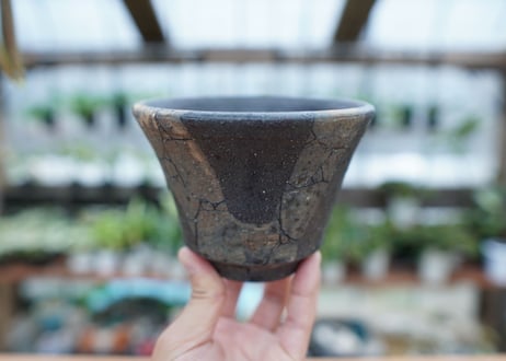 hechicami pot NO.5