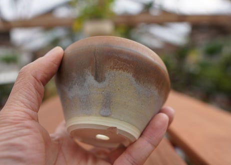 關まどか pot NO.4-1