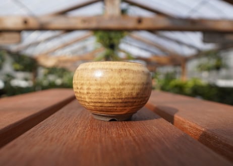 關まどか pot NO.19-2
