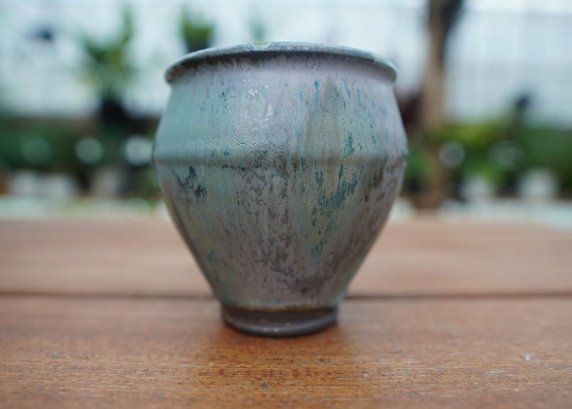 神田知広pot No.4 | mana's farm:塊根植物・アガベ・ドライガーデン