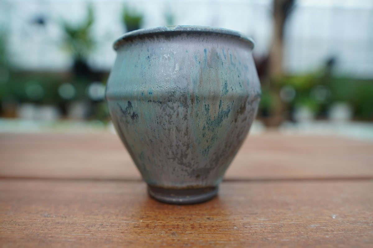 神田知広pot No.4 | mana's farm:塊根植物・アガベ・ドライガーデン