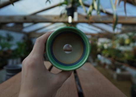 持木祐一 pot  No.46
