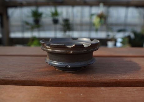 保田修作  pot No.14