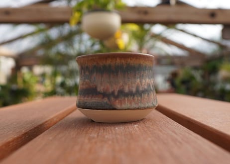 關まどか pot NO.7-7 F
