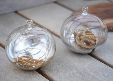 CATEGORY 土や園芸を楽しくする便利なアイテム | mana's farm:塊根植物