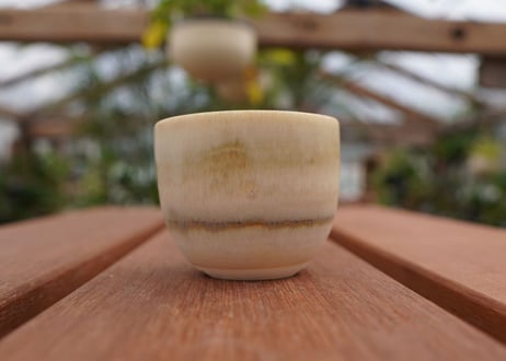 關まどか pot NO.1-5　F
