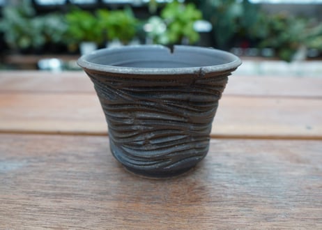 保田修作  pot No.18