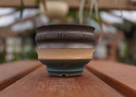 持木祐一pot NO.6