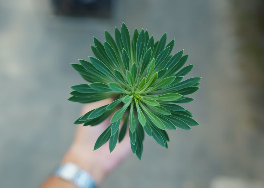 64cb13dc07ebb5002c2426ab