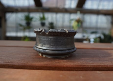 保田修作  pot No.13
