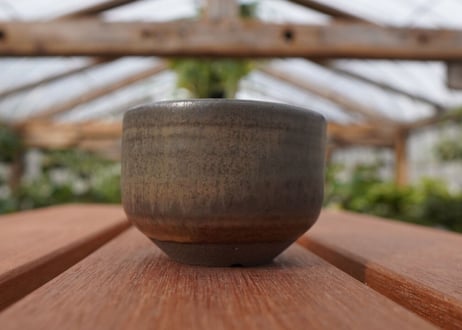 關まどか pot NO.25-2　Ｇ