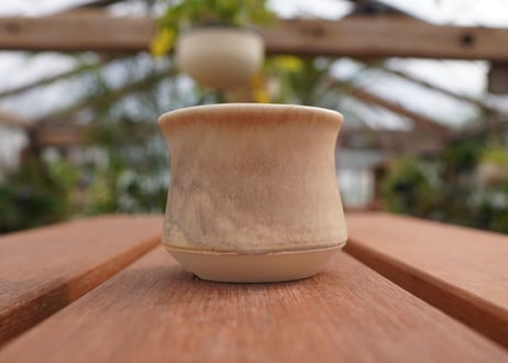 關まどか pot NO.5-2　Ｇ