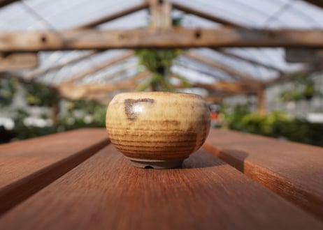 關まどか pot NO.19-2
