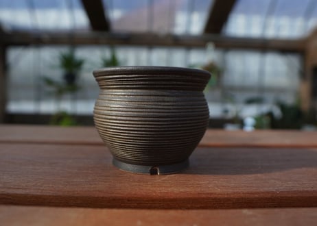 保田修作  pot No.6
