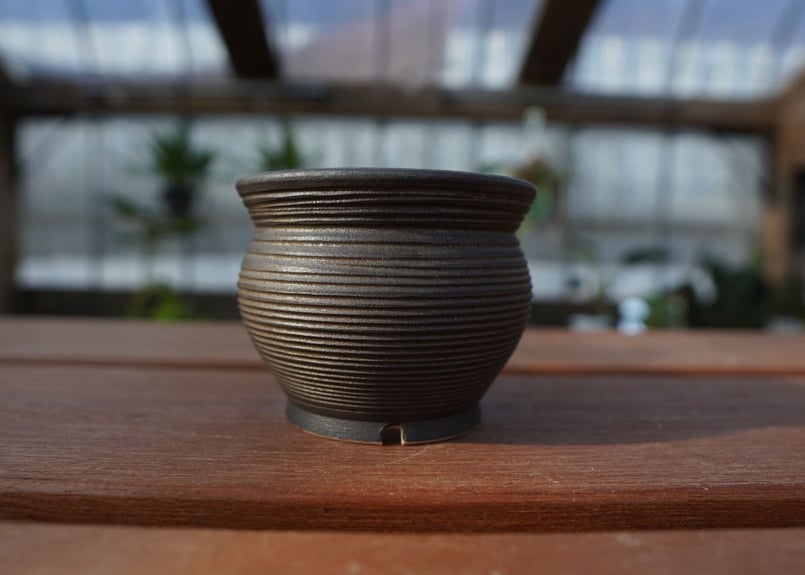 保田修作 pot No.6 | mana's farm:塊根植物・アガベ・ドライガーデン