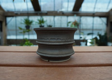 保田修作  pot No.44