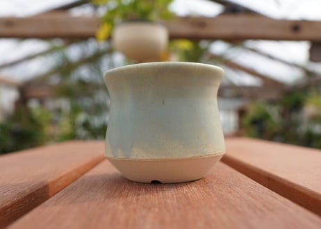 關まどか pot NO.5-5　F