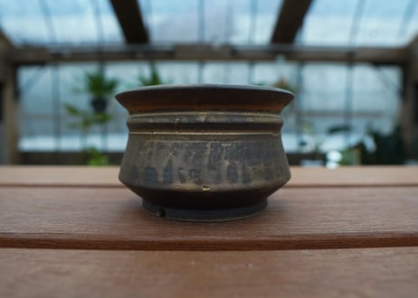 保田修作  pot No.31