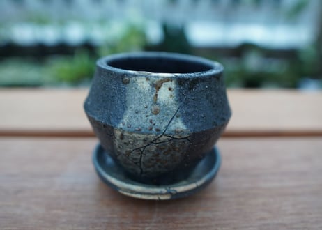 M*a様 大好評！アガベメイン☆塊根19種セット！希少品種あり！ M*a様 大好評！アガベメイン☆塊根19種セット！希少品種あり！