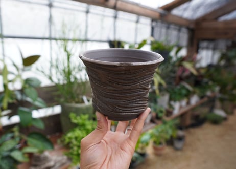保田修作  pot No.18